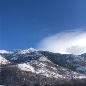 Meet your Posher, Benito